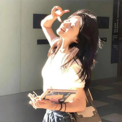 印度刺客：萨达尔·辛格